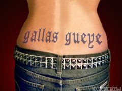 gallas